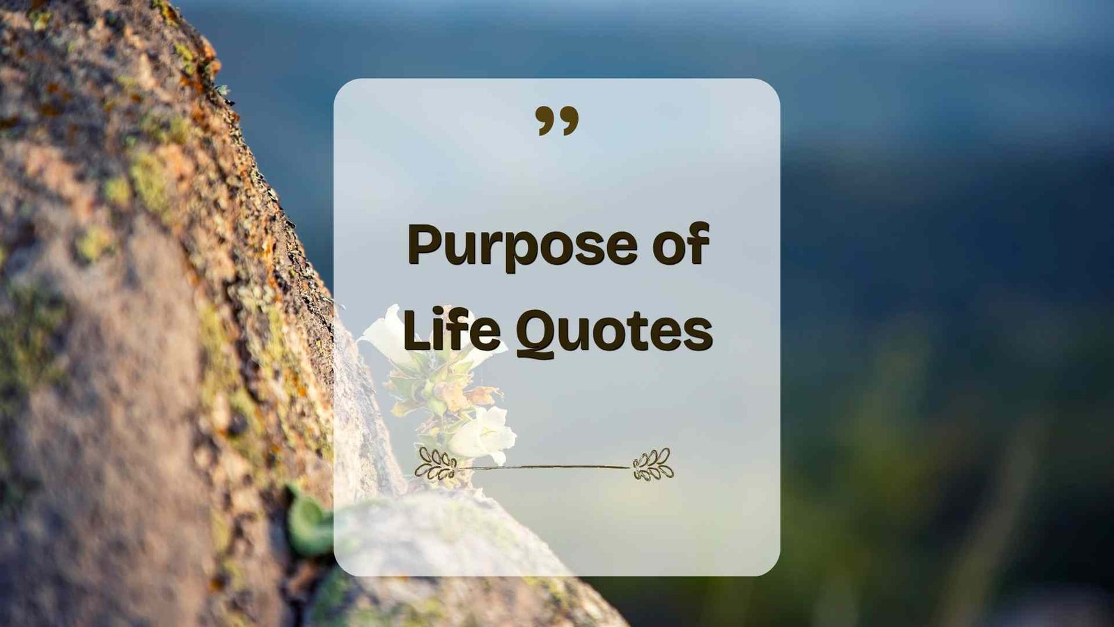 purpose of life quotes