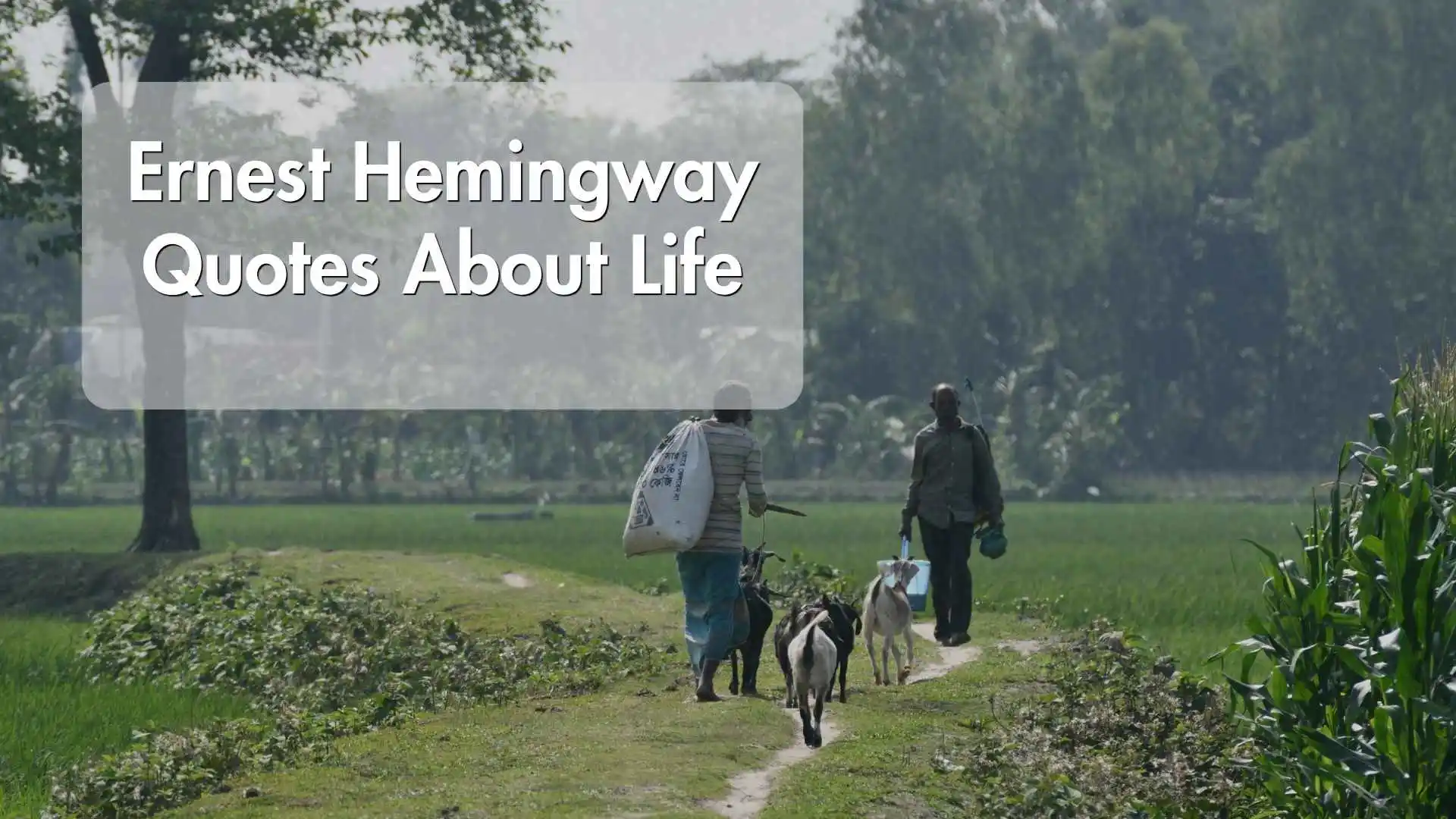 ernest hemingway quotes about life