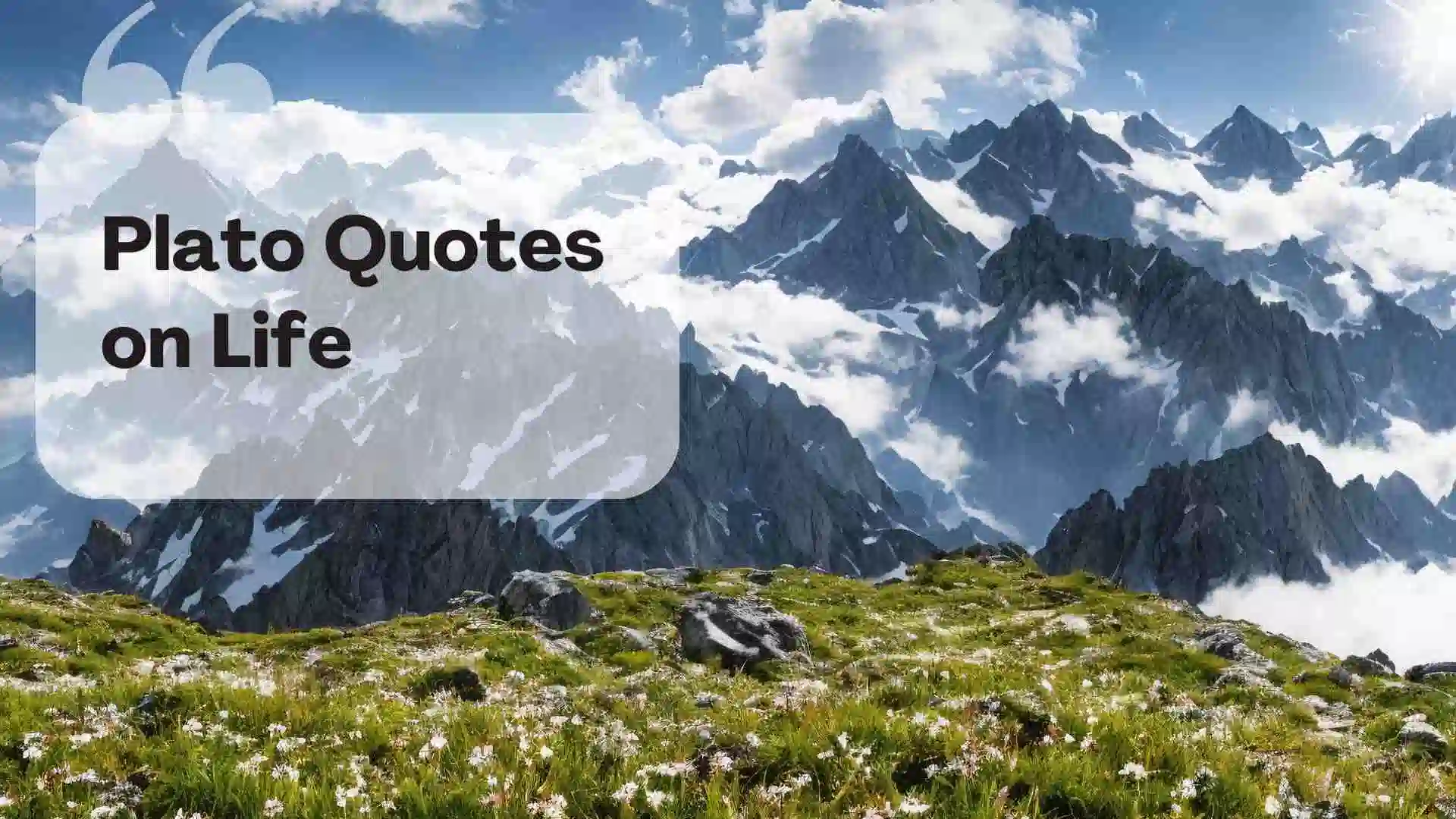 plato quotes on life